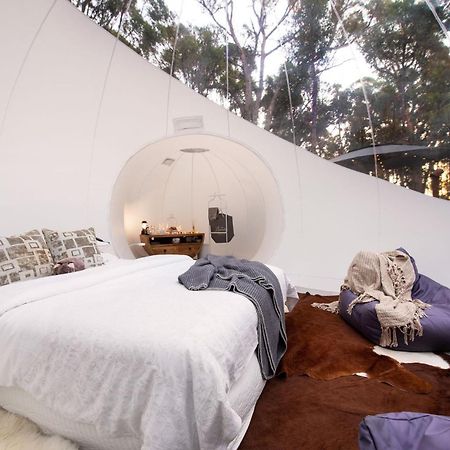 Skyview Bubbletent Eganstown 외부 사진
