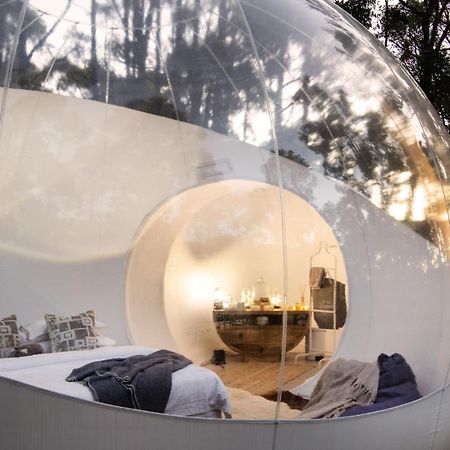 Skyview Bubbletent Eganstown 외부 사진