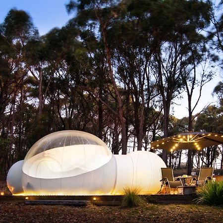 Skyview Bubbletent Eganstown 외부 사진